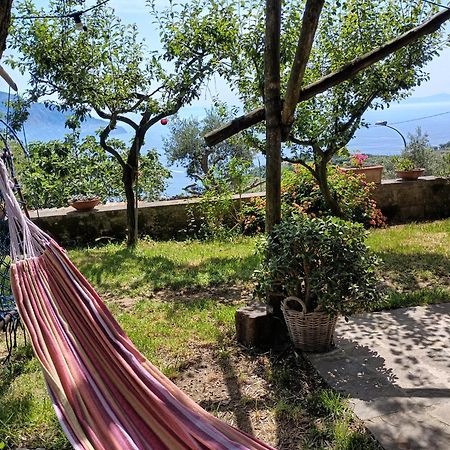 Amalfi Coast, Positano, Sorrento, Capri, Garden, Villa Carcara Colli di Fontanelle Экстерьер фото