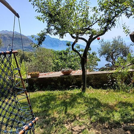 Amalfi Coast, Positano, Sorrento, Capri, Garden, Villa Carcara Colli di Fontanelle Экстерьер фото