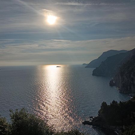 Amalfi Coast, Positano, Sorrento, Capri, Garden, Villa Carcara Colli di Fontanelle Экстерьер фото