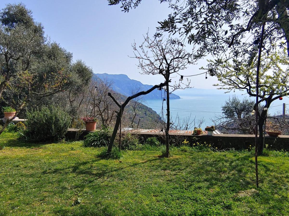 Amalfi Coast, Positano, Sorrento, Capri, Garden, Villa Carcara Colli di Fontanelle Экстерьер фото