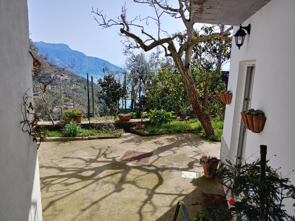 Amalfi Coast, Positano, Sorrento, Capri, Garden, Villa Carcara Colli di Fontanelle Экстерьер фото