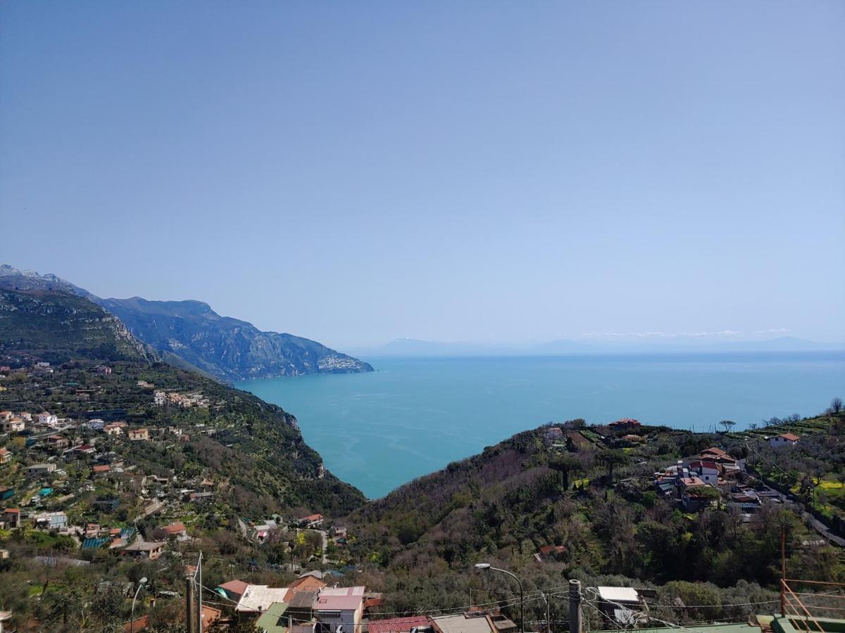Amalfi Coast, Positano, Sorrento, Capri, Garden, Villa Carcara Colli di Fontanelle Экстерьер фото