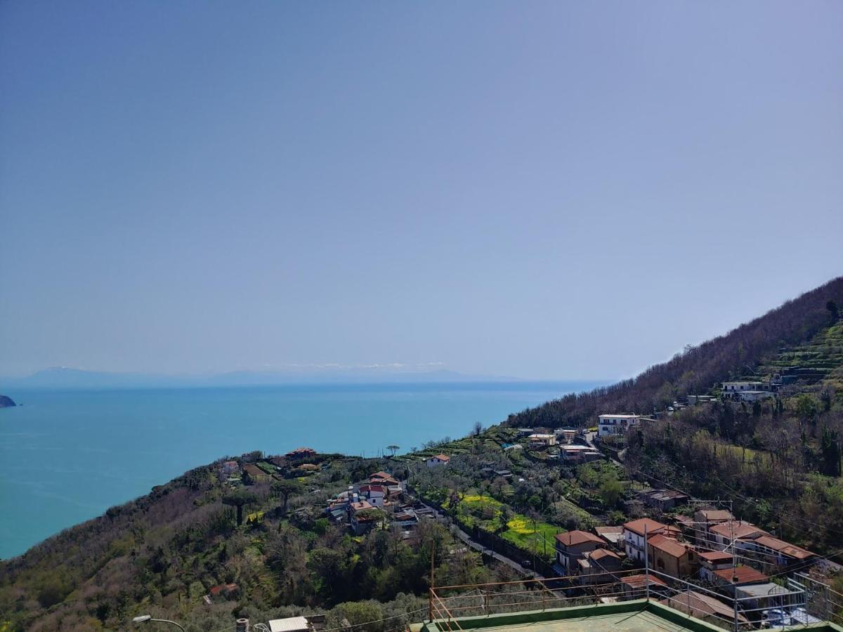 Amalfi Coast, Positano, Sorrento, Capri, Garden, Villa Carcara Colli di Fontanelle Экстерьер фото