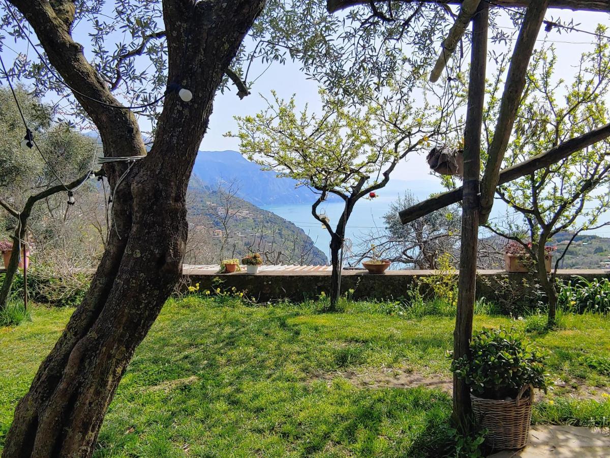 Amalfi Coast, Positano, Sorrento, Capri, Garden, Villa Carcara Colli di Fontanelle Экстерьер фото