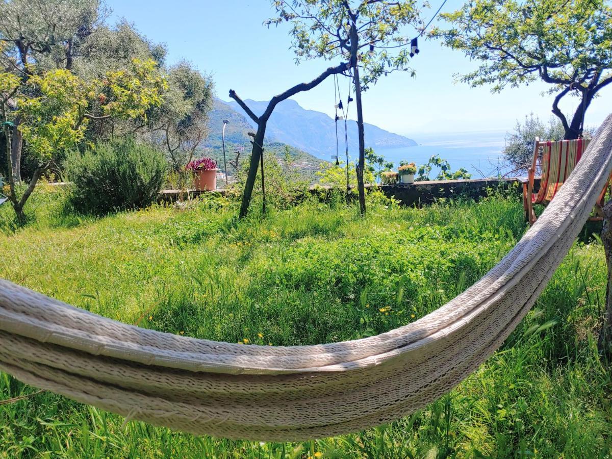 Amalfi Coast, Positano, Sorrento, Capri, Garden, Villa Carcara Colli di Fontanelle Экстерьер фото