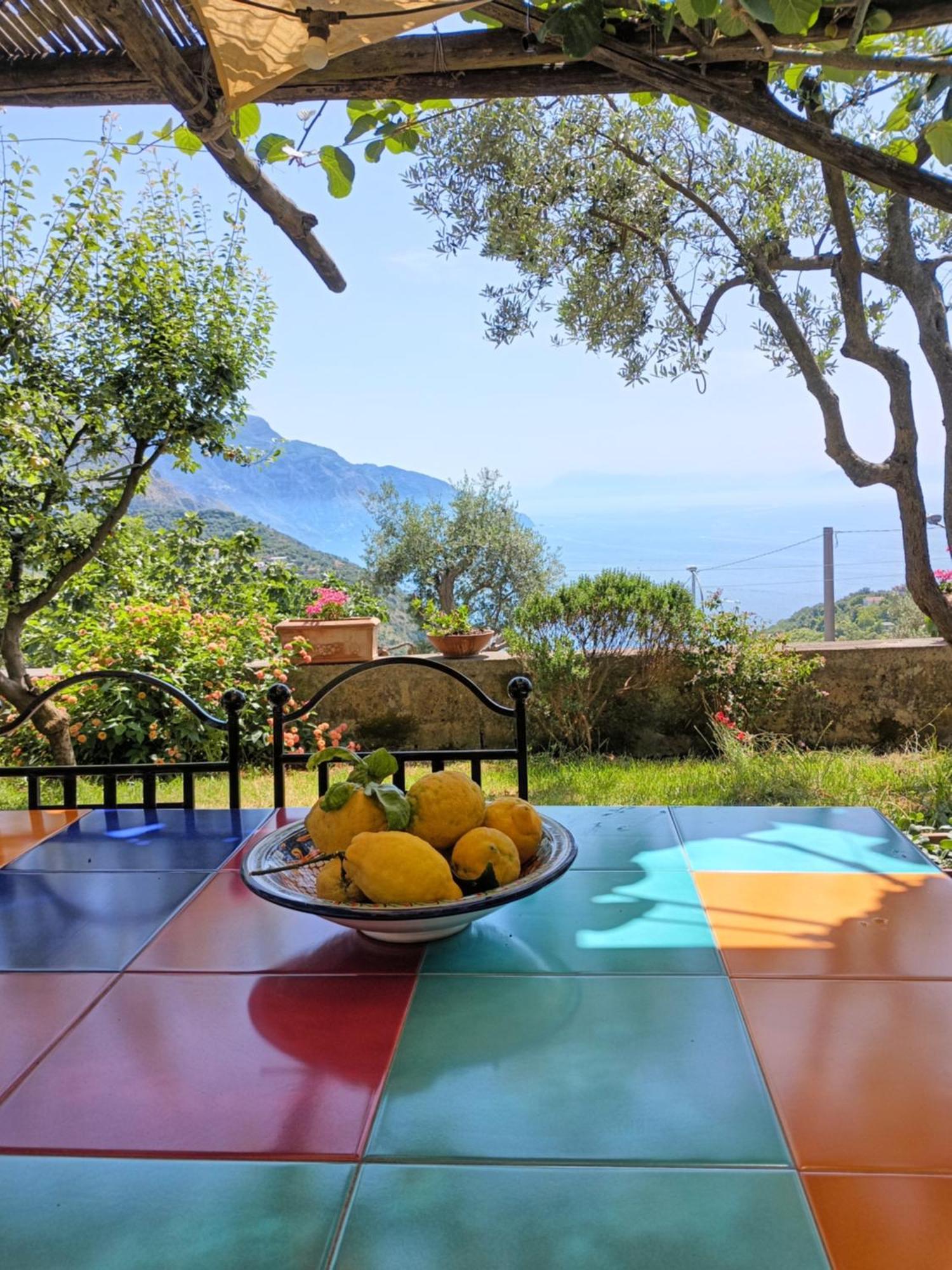 Amalfi Coast, Positano, Sorrento, Capri, Garden, Villa Carcara Colli di Fontanelle Экстерьер фото
