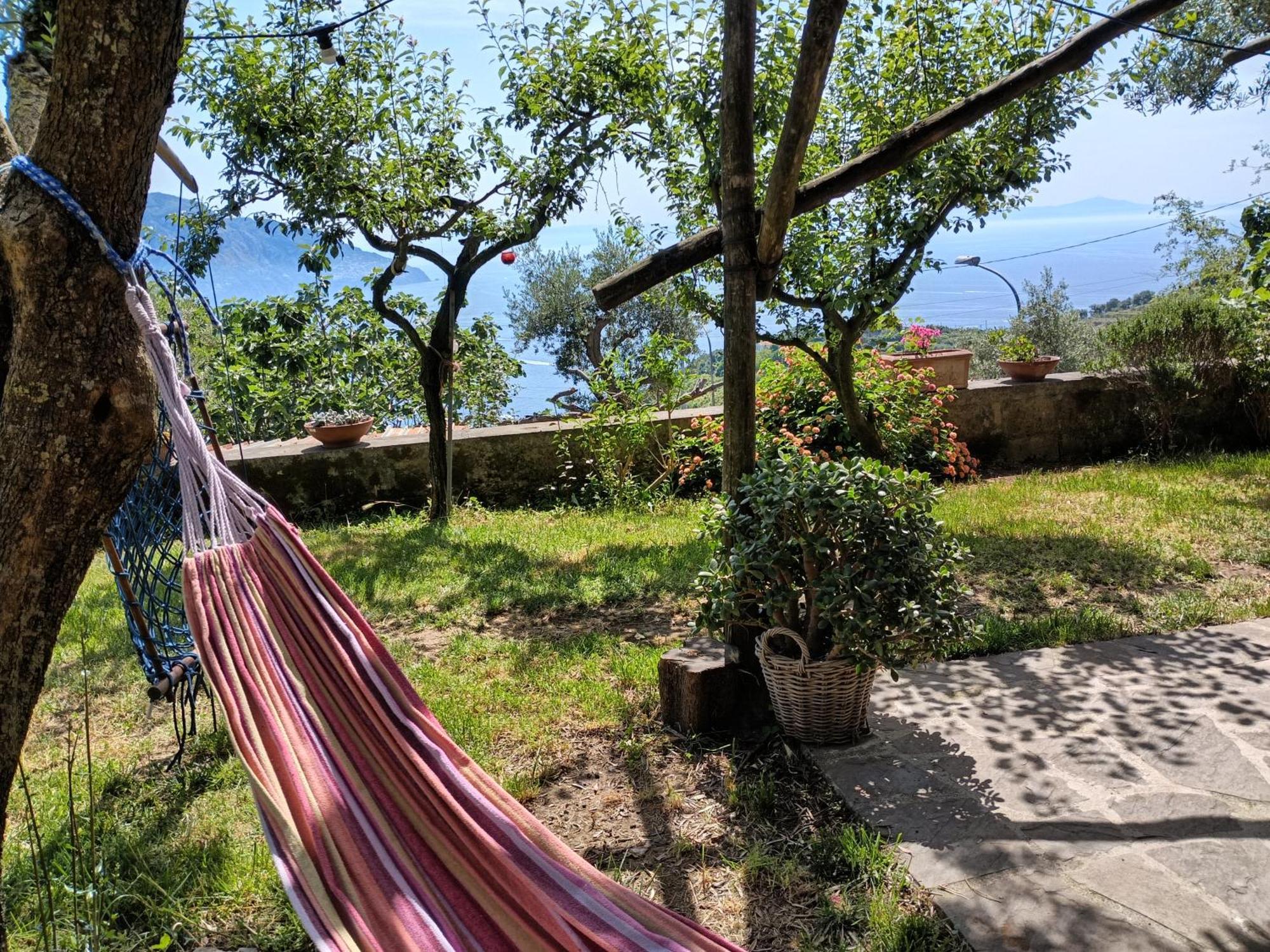 Amalfi Coast, Positano, Sorrento, Capri, Garden, Villa Carcara Colli di Fontanelle Экстерьер фото