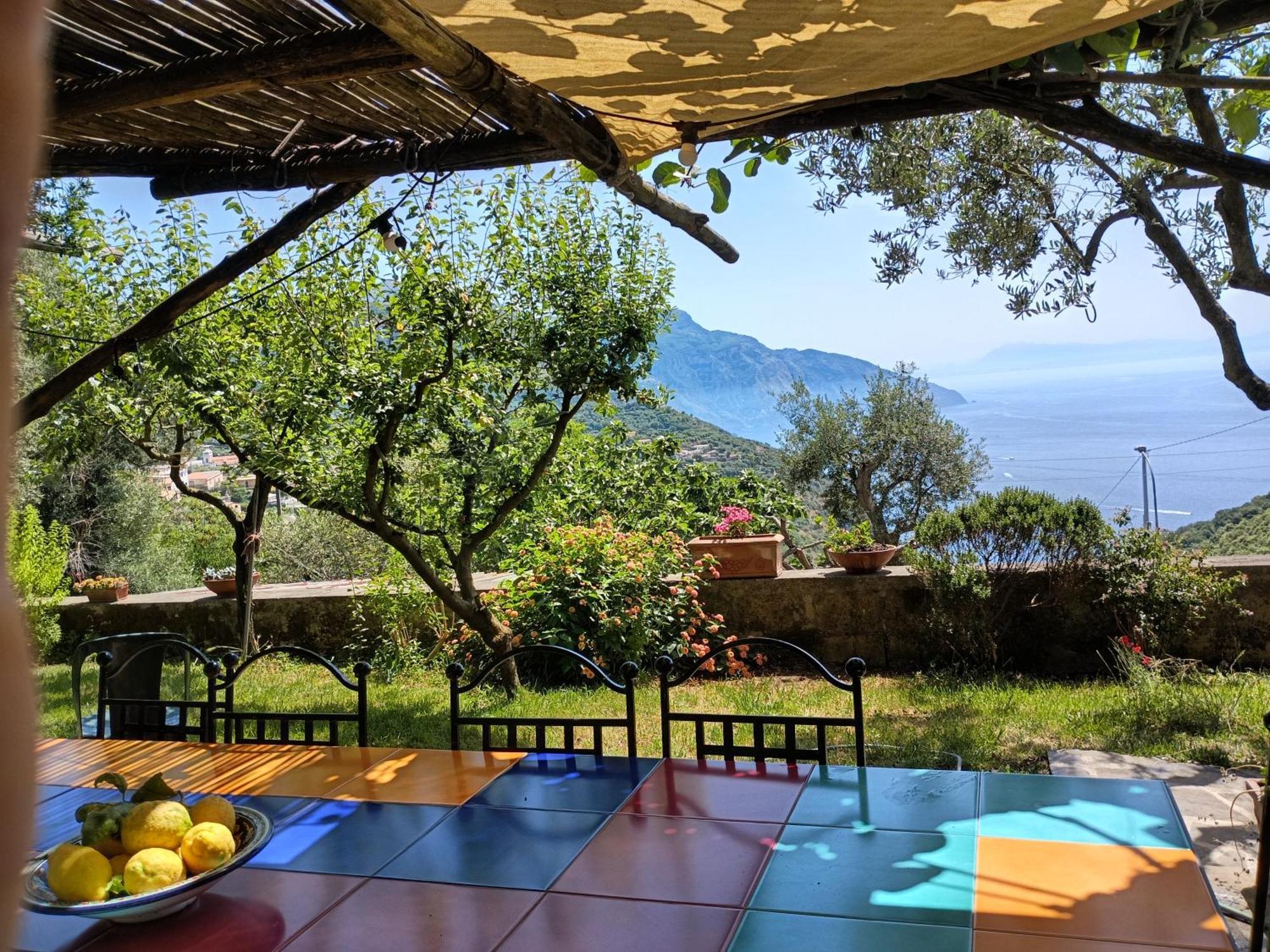 Amalfi Coast, Positano, Sorrento, Capri, Garden, Villa Carcara Colli di Fontanelle Экстерьер фото